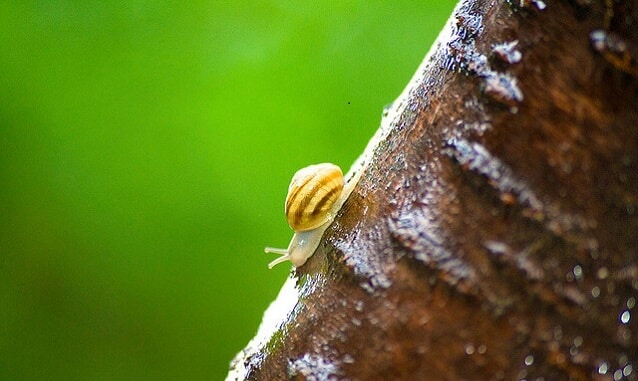 Change management doesn't have to be slow Change management doesn't have to be slow